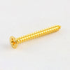 Allparts Tall Humbucking Ring Screws - Gold