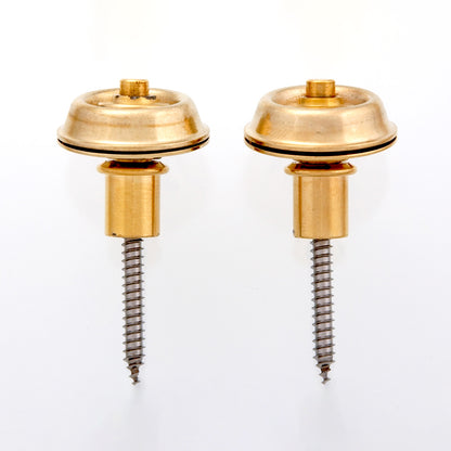 Dunlop Flush Mount Strap Lock System