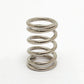 goldo long tremolo spring nickel