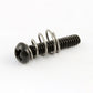 Allparts Single Coil Pickup Screws