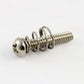 Allparts Single Coil Pickup Screws