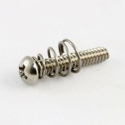 Allparts Single Coil Pickup Screws