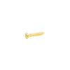 Allparts Short Humbucking Ring Screws - Gold