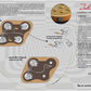 Pickup Leslee for Les Paul
